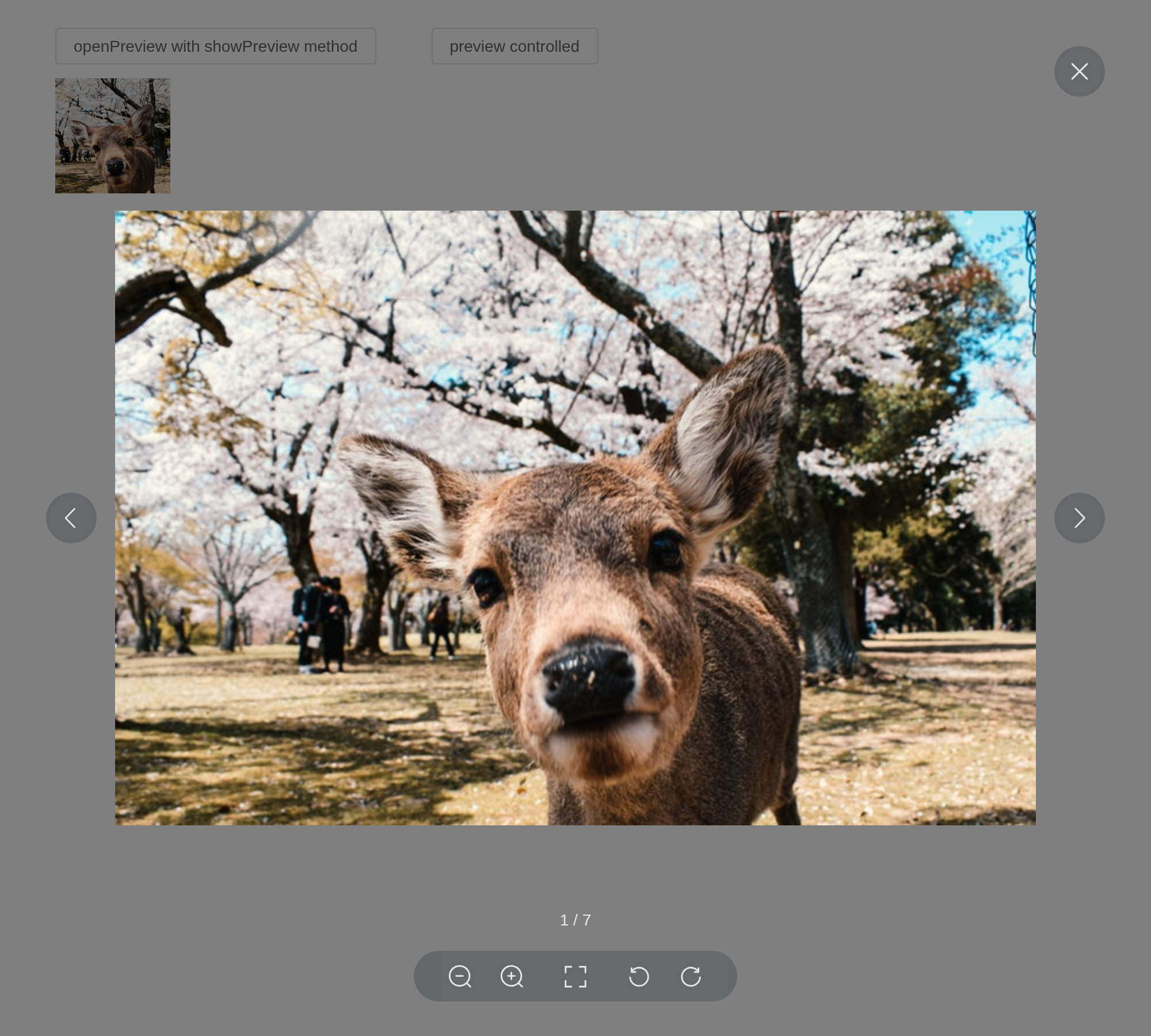 The manually-preview example, running